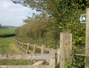 Beautiful countryside hacking near Greenbank