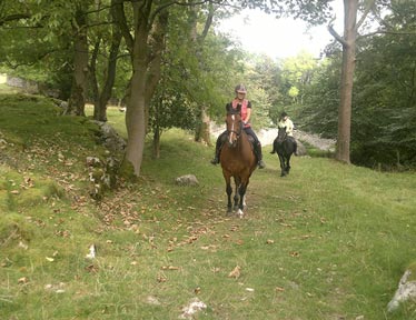 Hacking over private farm land