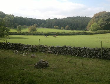 Winter horse care tips