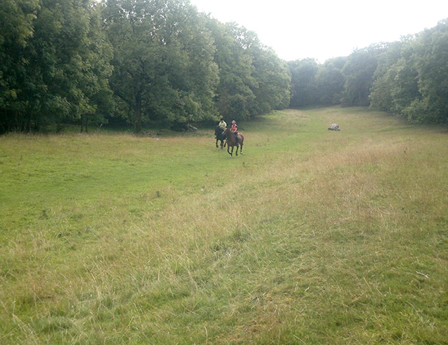 Hacking over private farm land